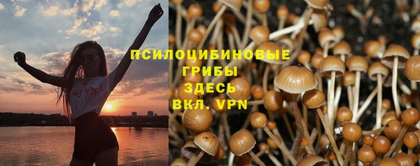 кокс Белокуриха