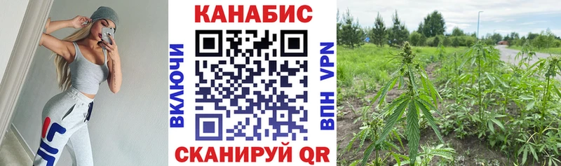 это как зайти  Вилючинск  Бошки Шишки AK-47  kraken зеркало 